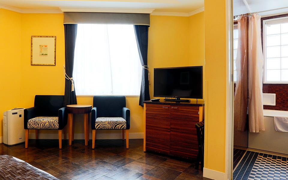 room detail thumbnail 2